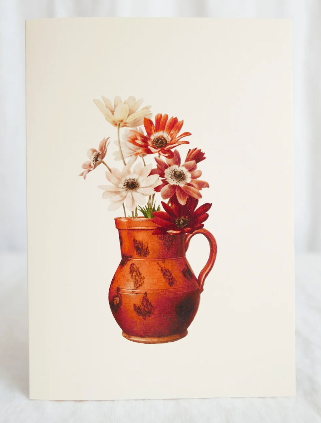 Hydrangea Ranger - Daisies in Terracotta