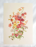 Hydrangea Ranger - Summer Posie