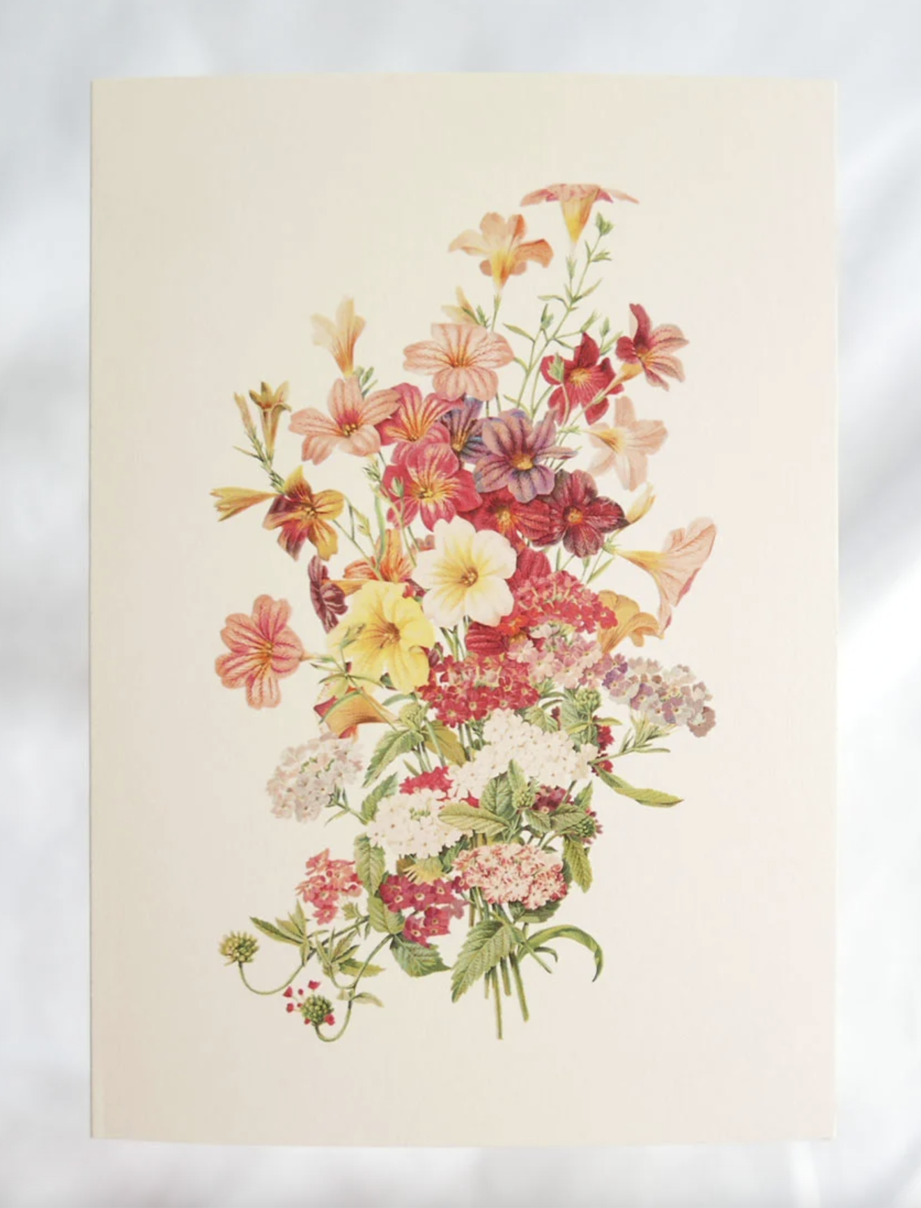 Hydrangea Ranger - Summer Posie