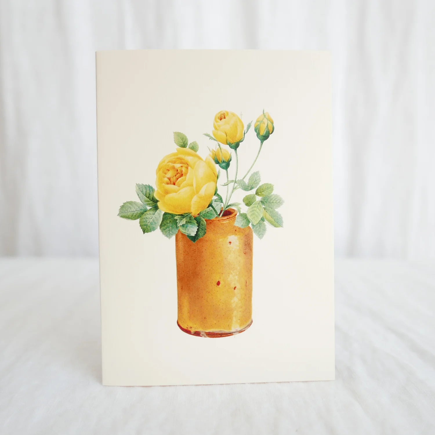 Hydrangea Ranger - Yellow roses in yellow
